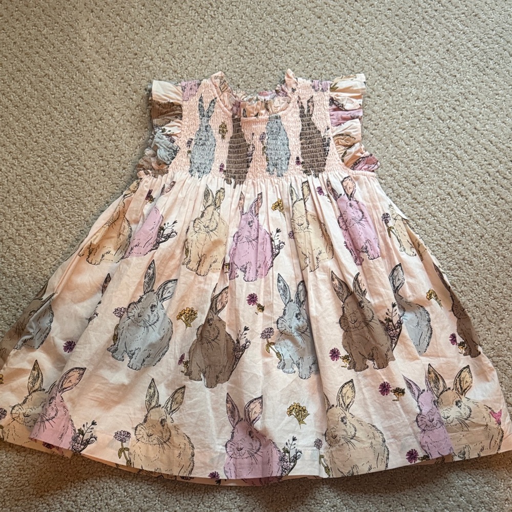 Pink Chicken Stevie Dress 12/18month